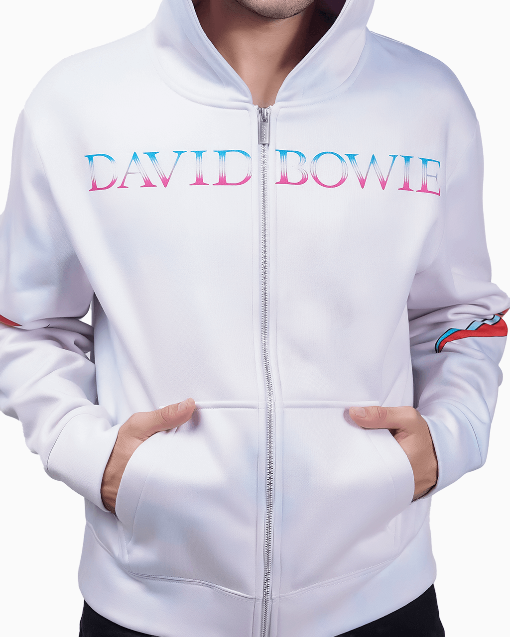 Aladdin Sane - 23point5 Shop