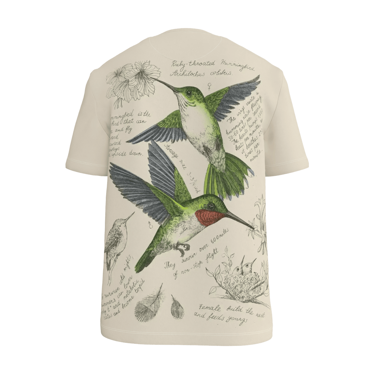 Humming Bird T-Shirt - 23point5 Shop