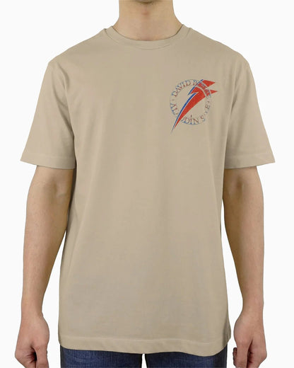 Aladdin Sane T-Shirt - 23point5 Shop