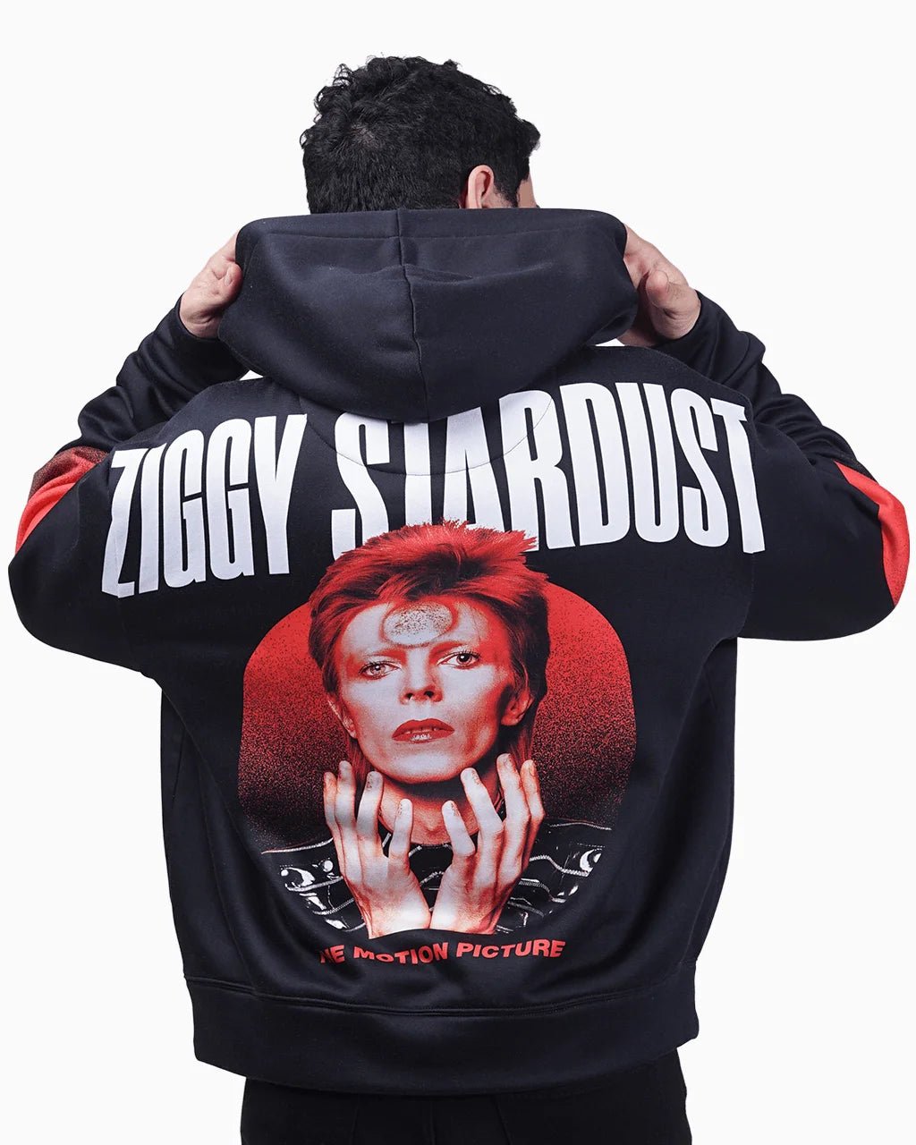 Ziggy Stardust - 23point5 Shop